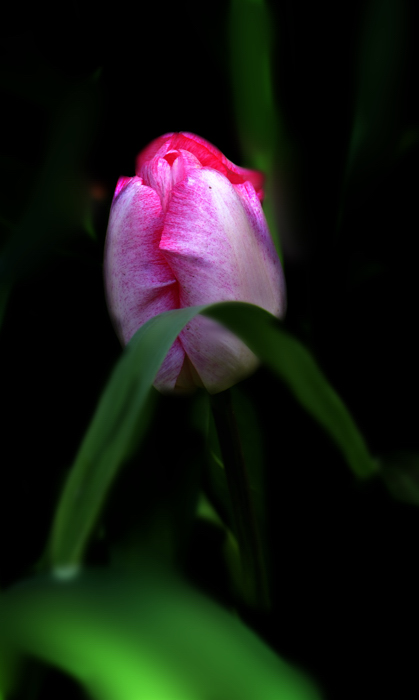 _dsc6946.jpg