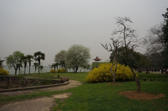 dsc01046.jpg