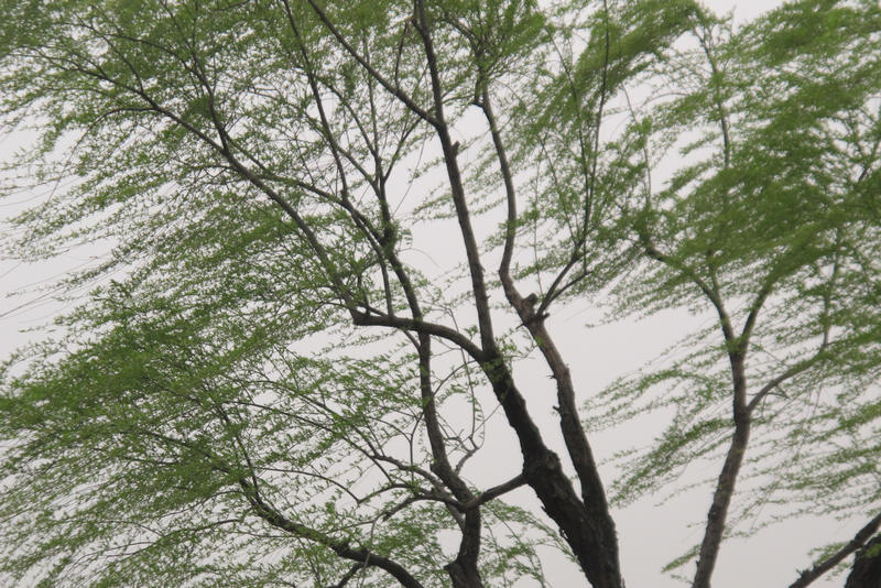 2013ͽӣ 016.jpg