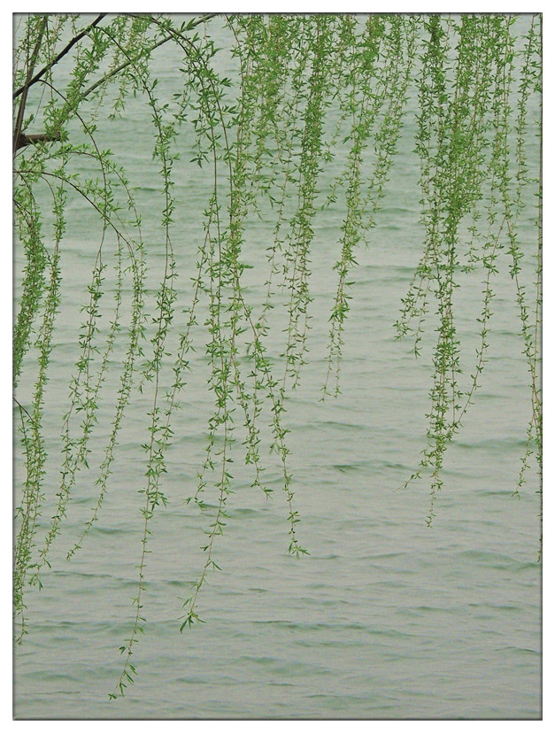 dscn3856_.jpg