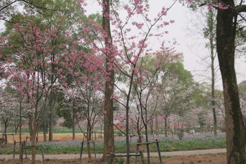 2013ͽӣ 023.jpg
