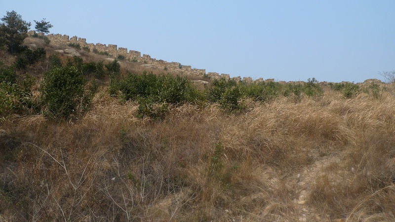 l1410327.jpg