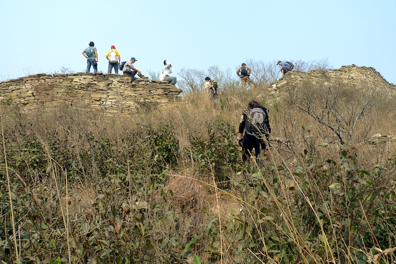l1410416.jpg