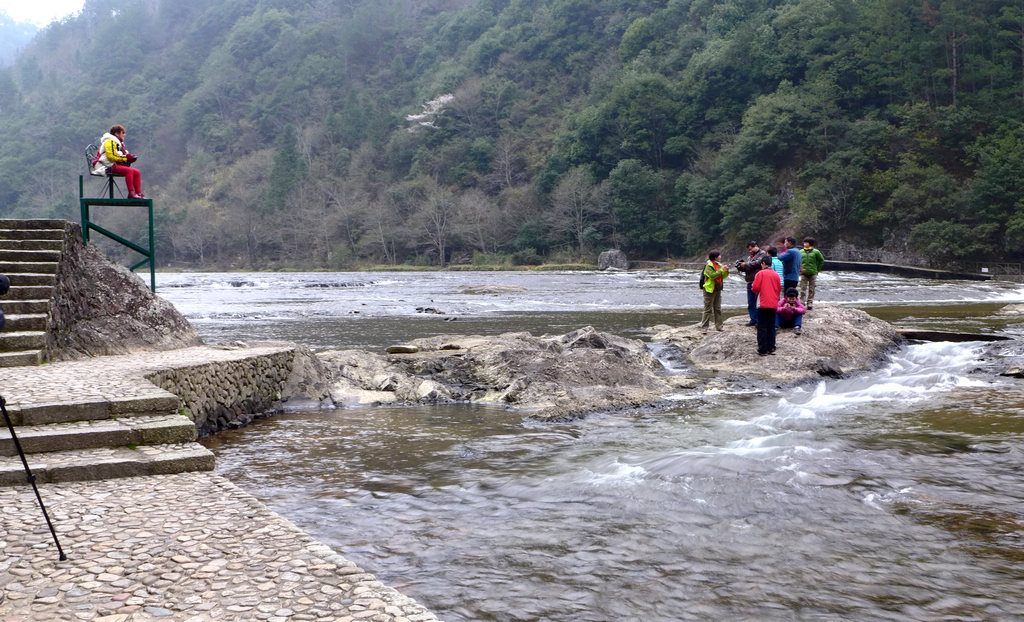 p1060739.jpg