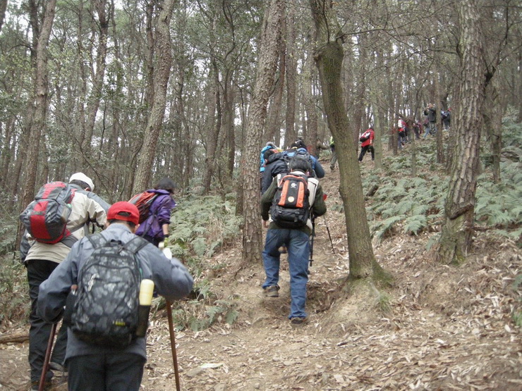 dscn7708.jpg