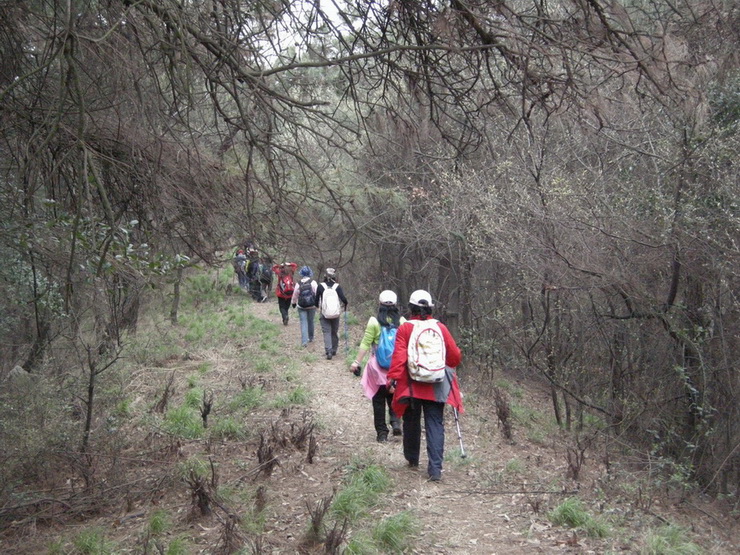 dscn7714.jpg