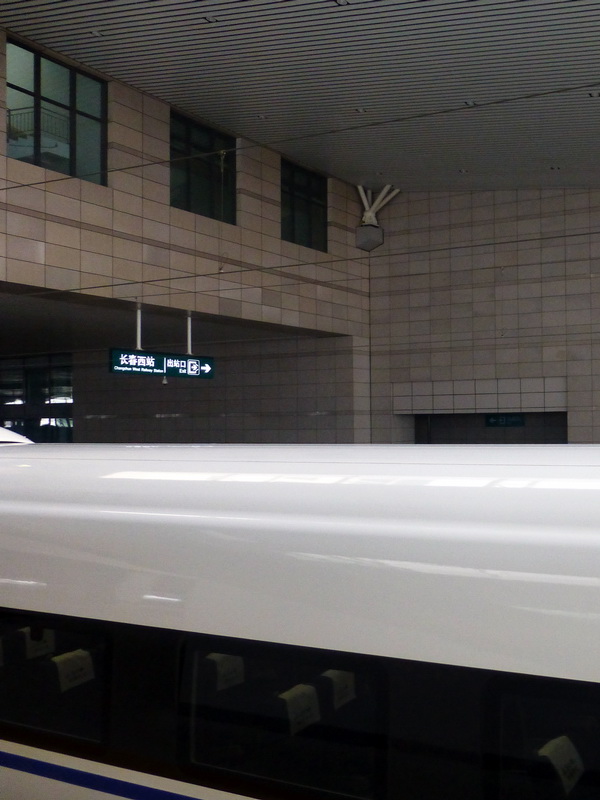 p1010870.jpg