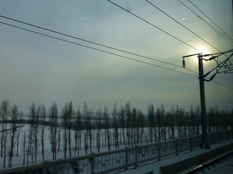 p1010860.jpg