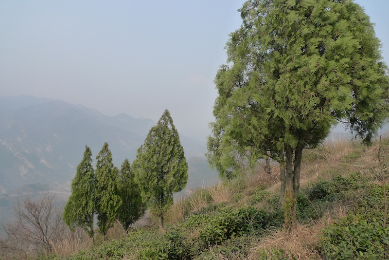 l1410454.jpg