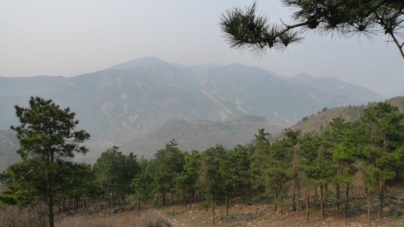 l1410455.jpg