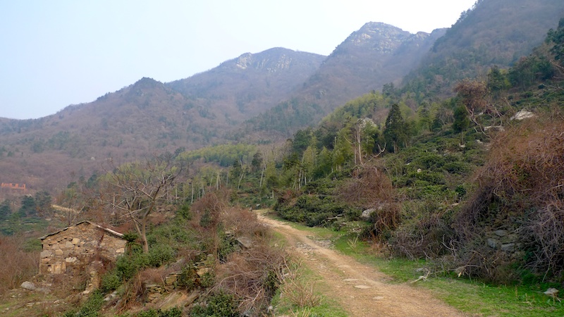 l1410461.jpg
