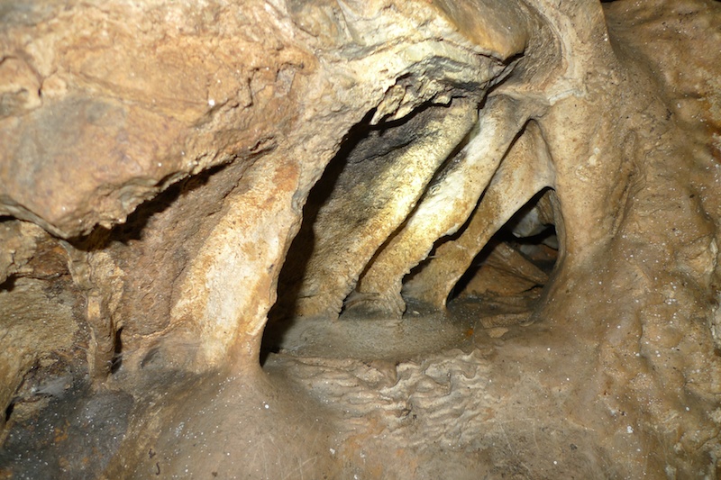 l1410484.jpg