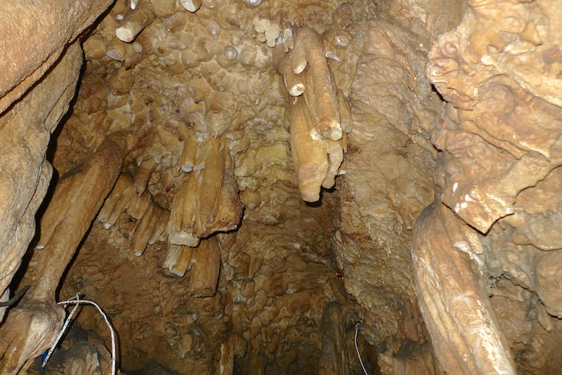 l1410491.jpg