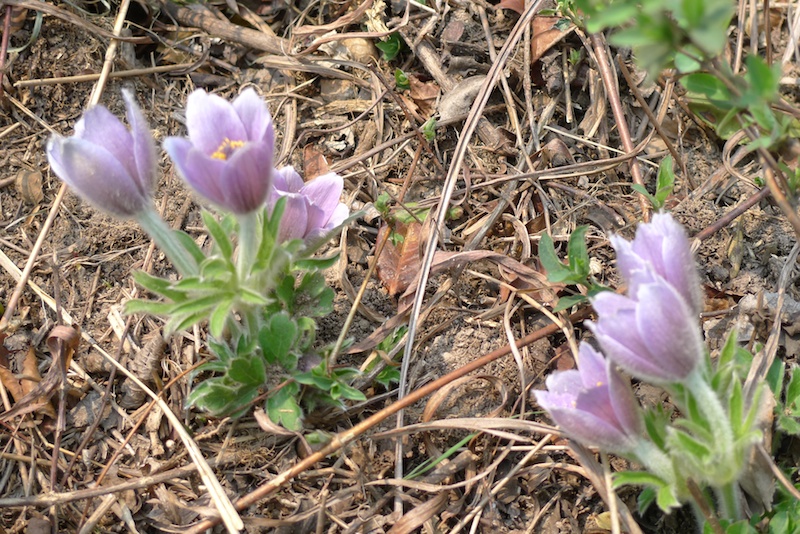 l1410428.jpg