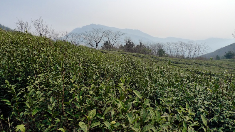 l1410438.jpg