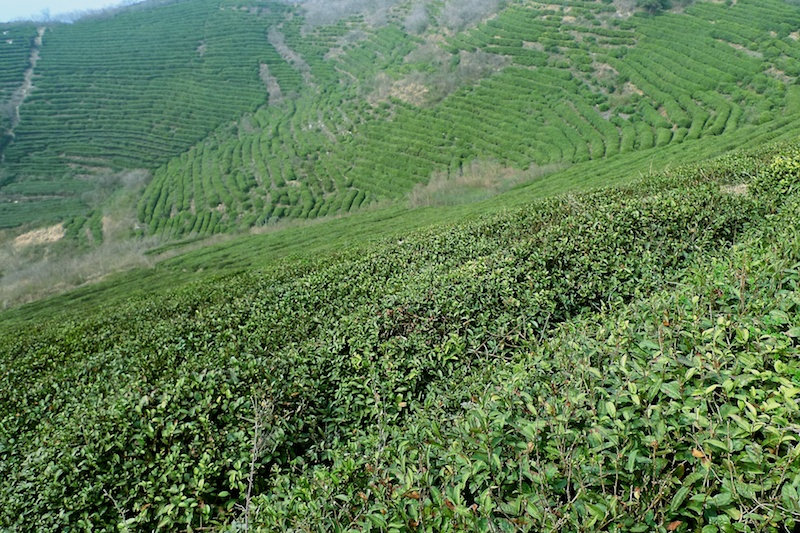 l1410443.jpg