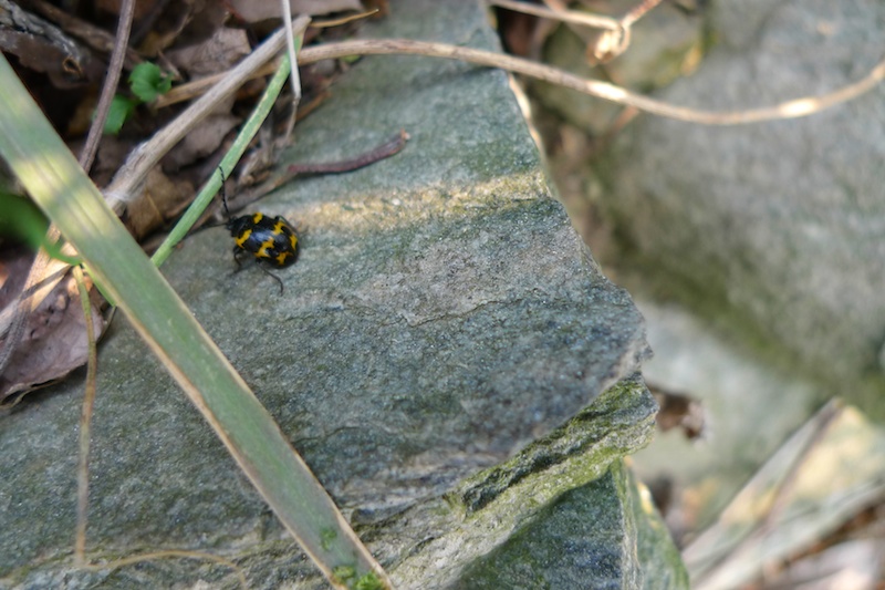 l1410444.jpg