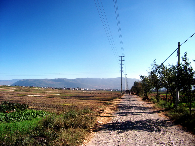 dscf0356.jpg