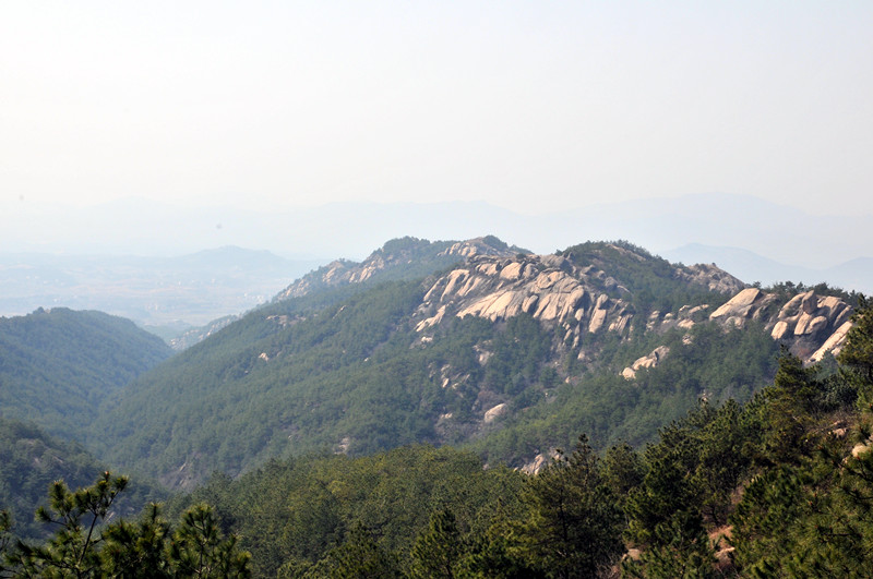 dsc_9669_.jpg