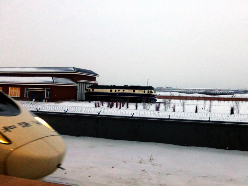 p1010880.jpg