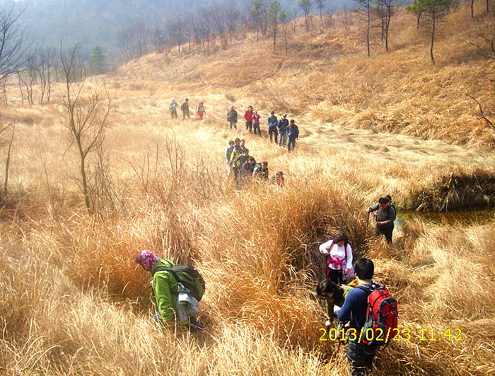 dsci2231.jpg