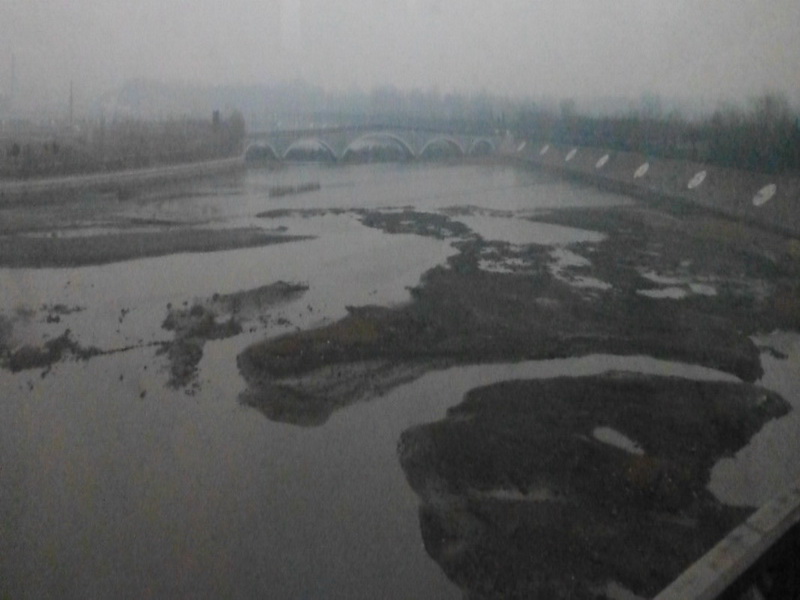 p1010906.jpg