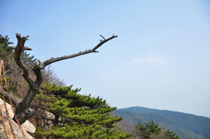 dsc_0105.jpg