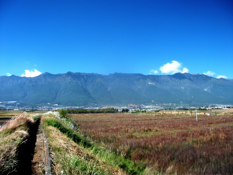 dscf0407.jpg