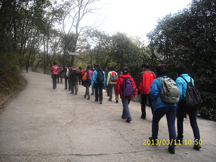 dsci2361.jpg