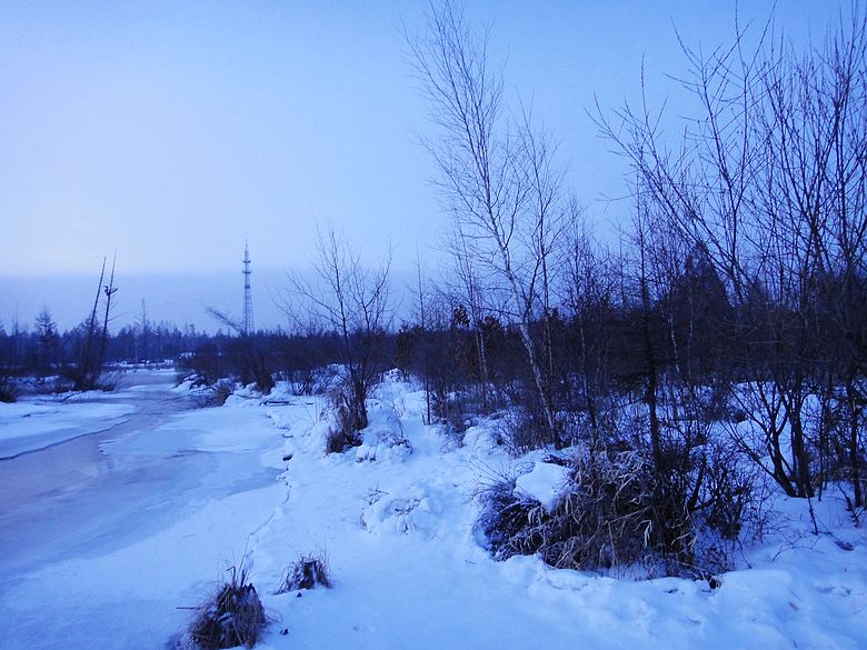 dsc09541.jpg
