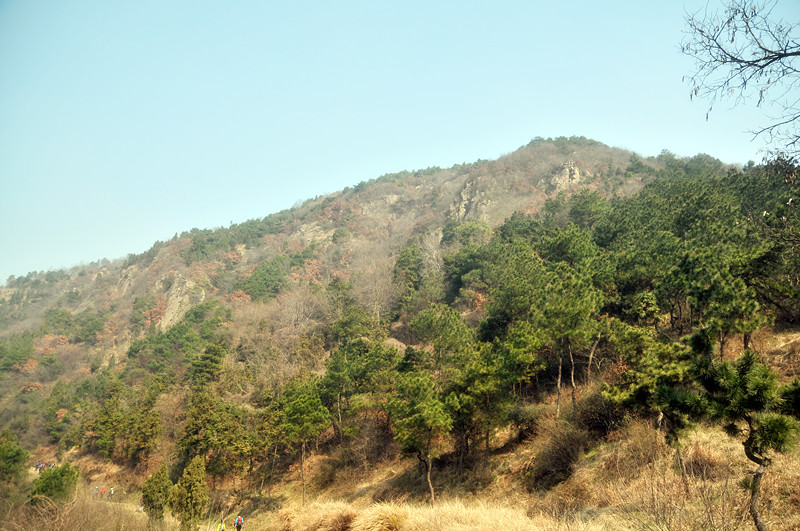 dsc_9467_.jpg