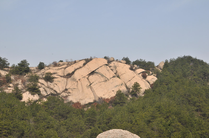 dsc_9681_.jpg