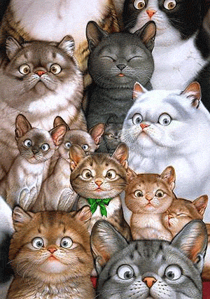 2012191354433859164.gif
