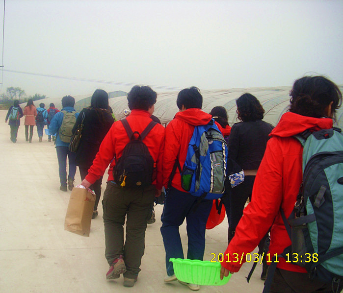 dsci2378.jpg