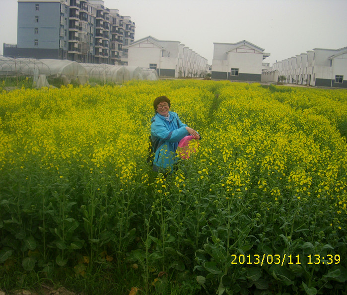 dsci2379.jpg