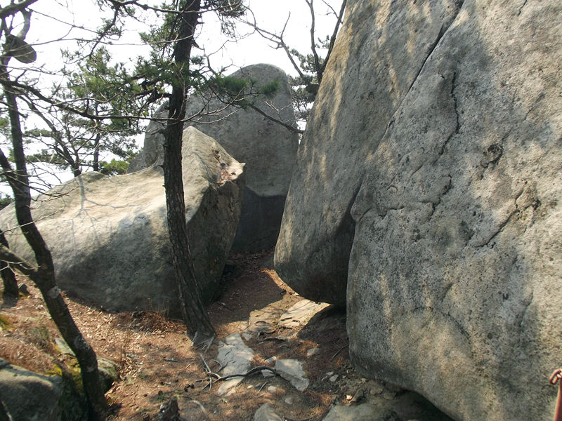 dscf1444_.jpg