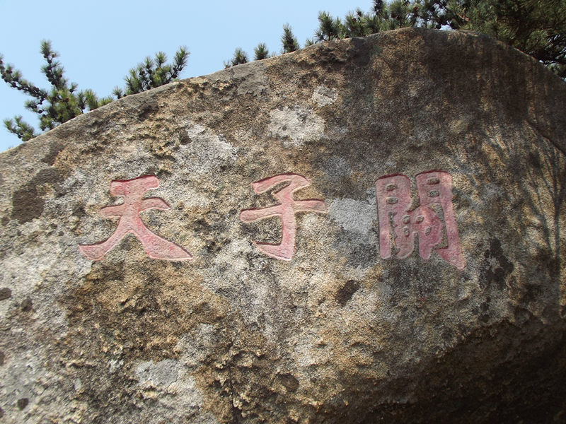 dscf1446_.jpg