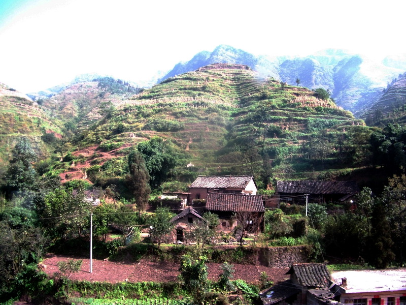 dscf0545.jpg
