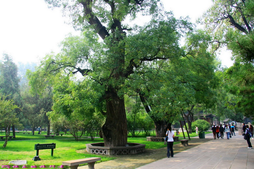 680.jpg