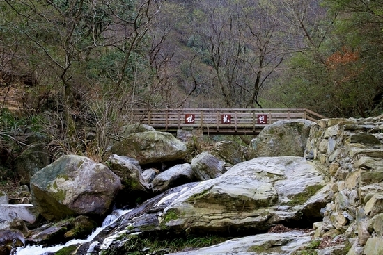 _mg_5162.jpg