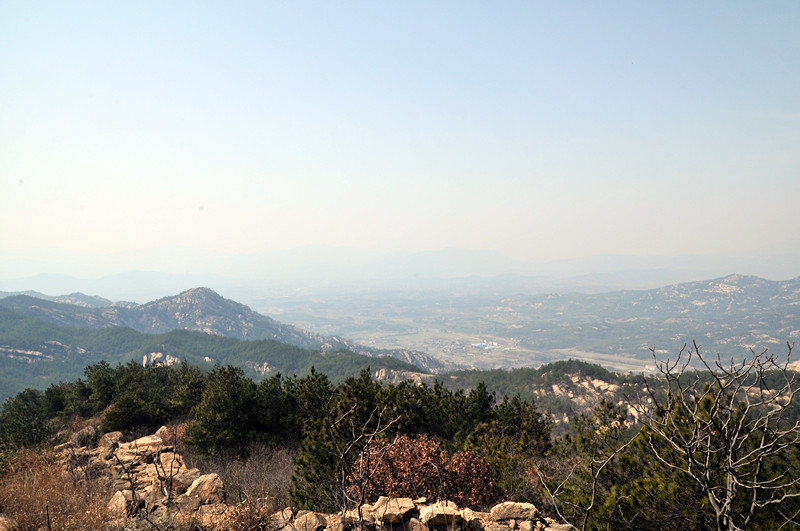 dsc_9724_.jpg