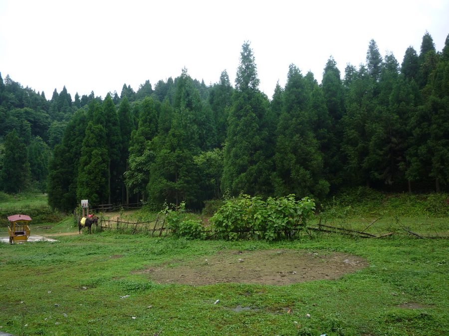 p1130142.jpg