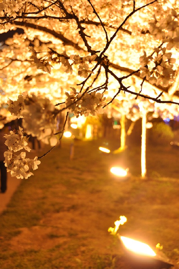 qqͼ20130315235528.jpg