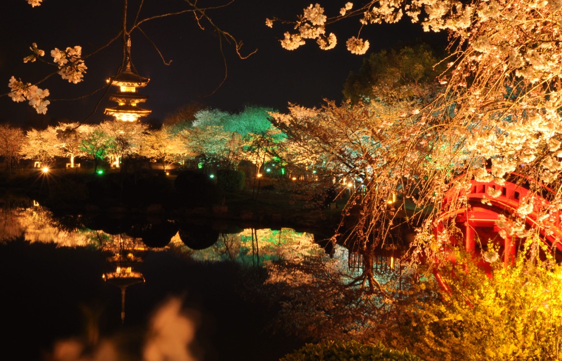 qqͼ20130315235710.jpg