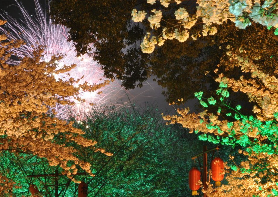 qqͼ20130316000523.jpg