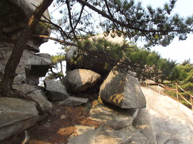 dscf1555_.jpg
