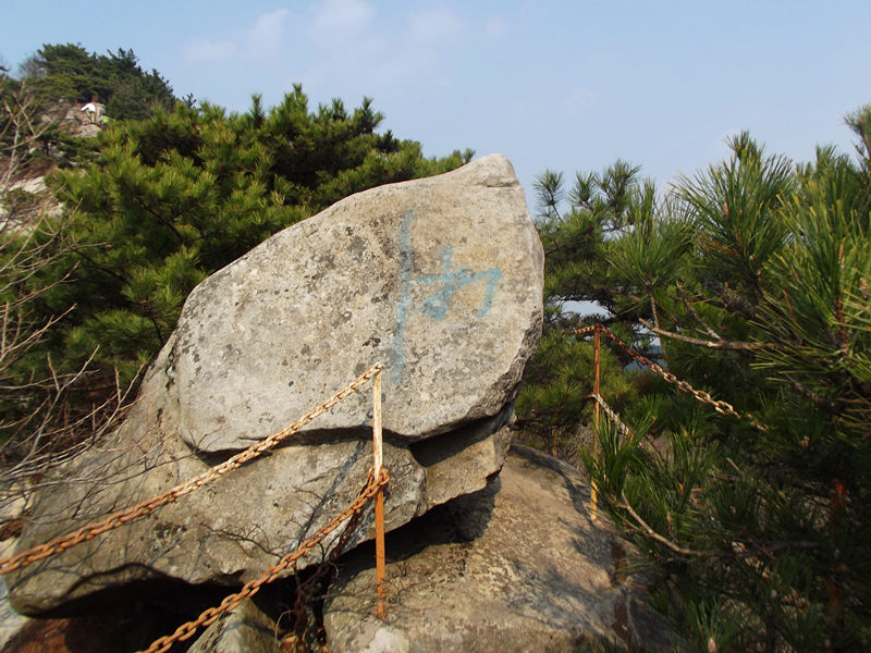 dscf1557_.jpg