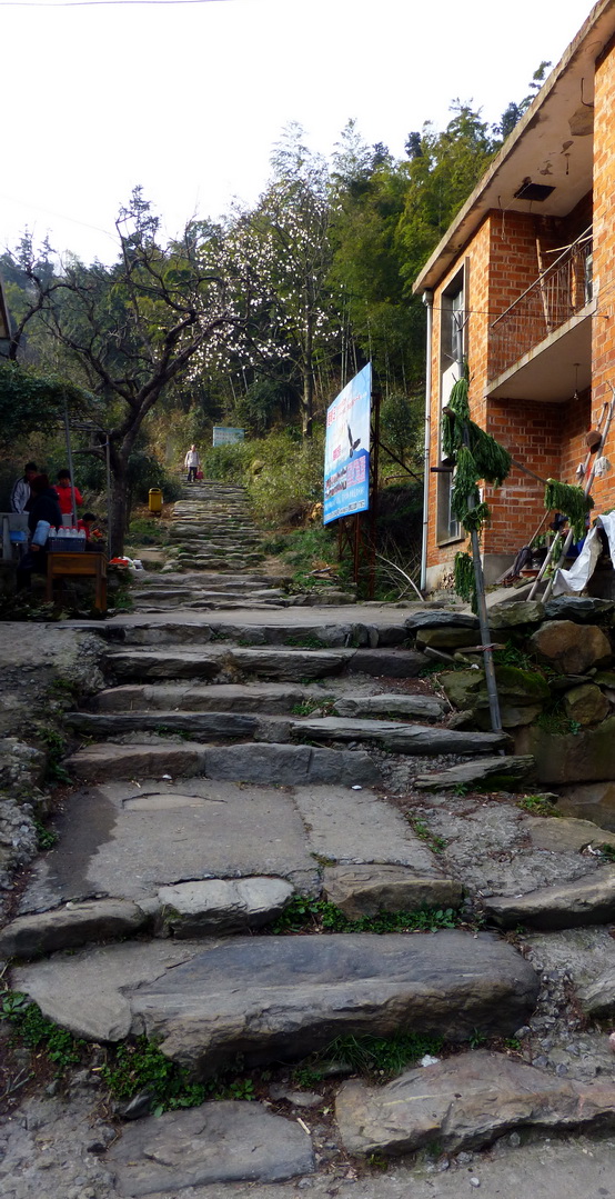 p1030671.jpg