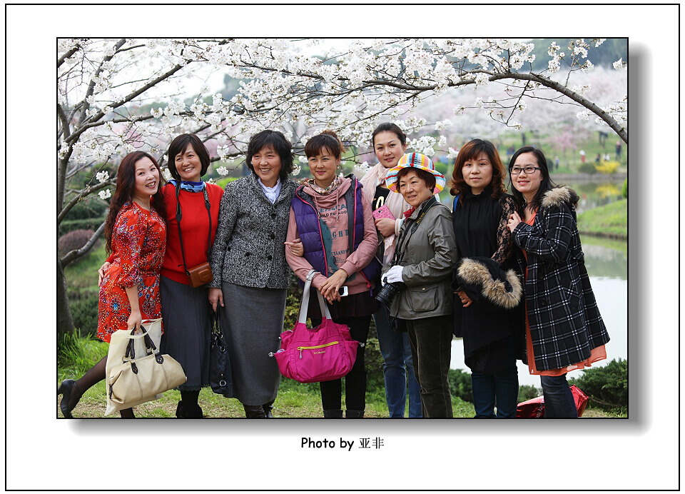 img_0655a.jpg