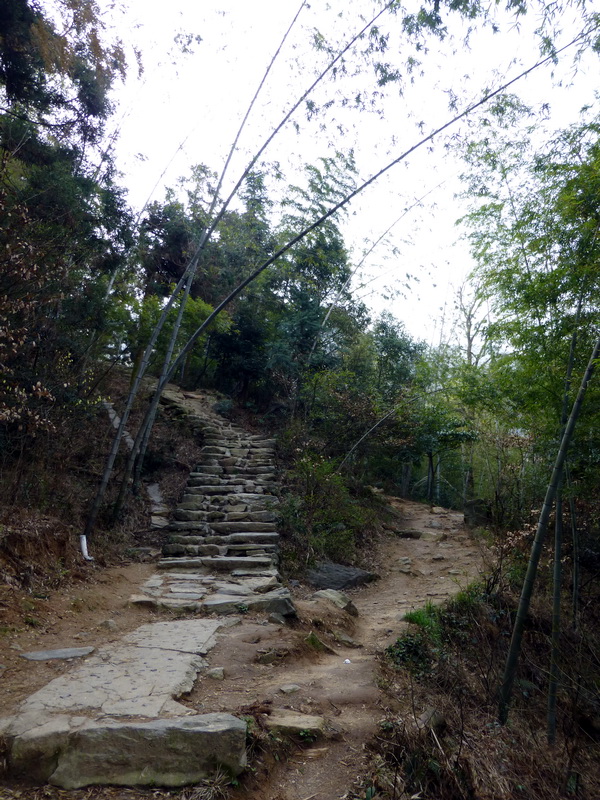 p1030674.jpg